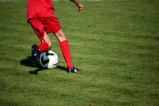 AYX官网-冬奥场馆智能系统协助运动员热身训练，冬奥会设备